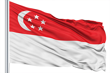 Silambam Singapore Flag 1