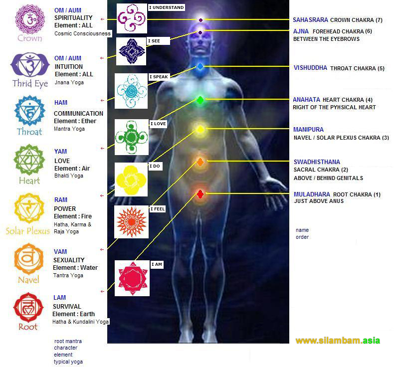 The Chakras