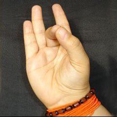 Aakash Vardhak